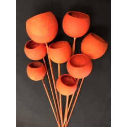 Bell Cups Orange (8)